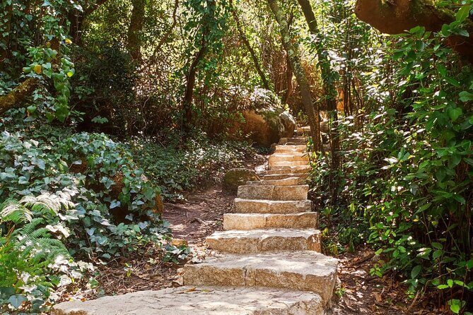 Sintra Private Hiking Adventure Tour - Fonte da Sabuga and Igreja de Santa Maria: the stops that make the climb make sense