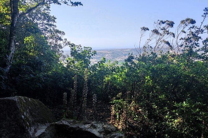 Sintra Private Hiking Adventure Tour - Estrada da Pena and Seteais gardens: closing the loop with major viewpoints