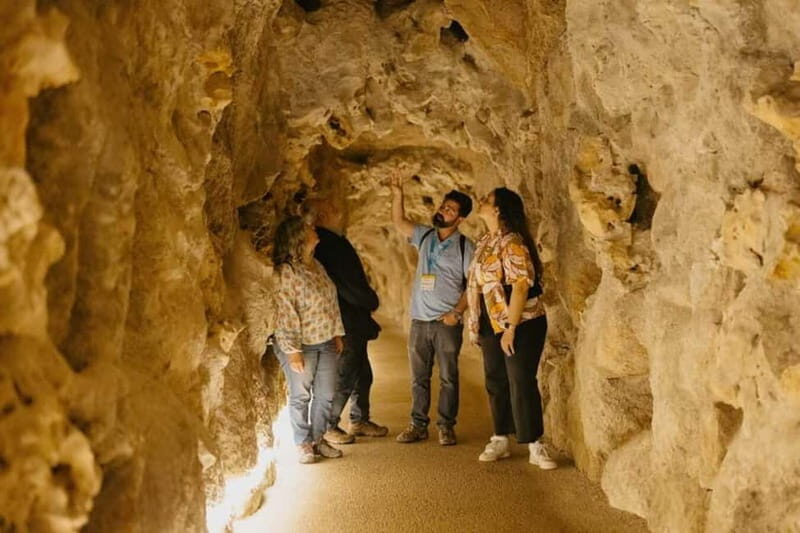 Sintra: Quinta da Regaleira Entry Ticket and Guided Tour - Key Things You’ll Notice on This Quinta da Regaleira Tour