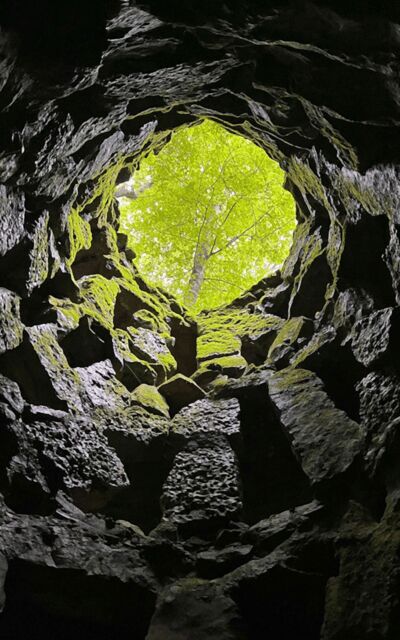 Sintra: Quinta da Regaleira Entry Tickets with Host - Price and logistics: is this $28 ticketed entry with host good value?