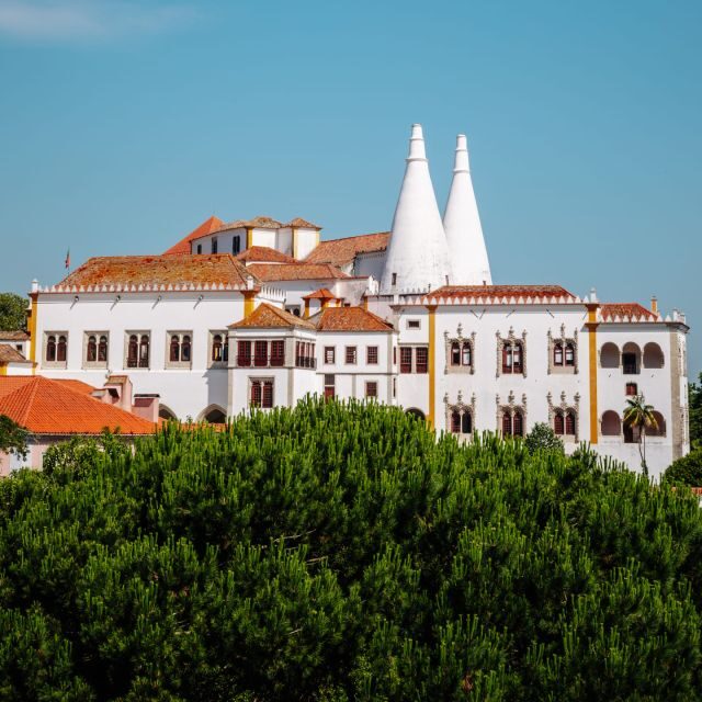 Sintra: -Sintra Sightseeing Tour With Tuk Tuk (1hr) - Biester Palace and Park + Castle of the Moors: the view-and-texture stretch