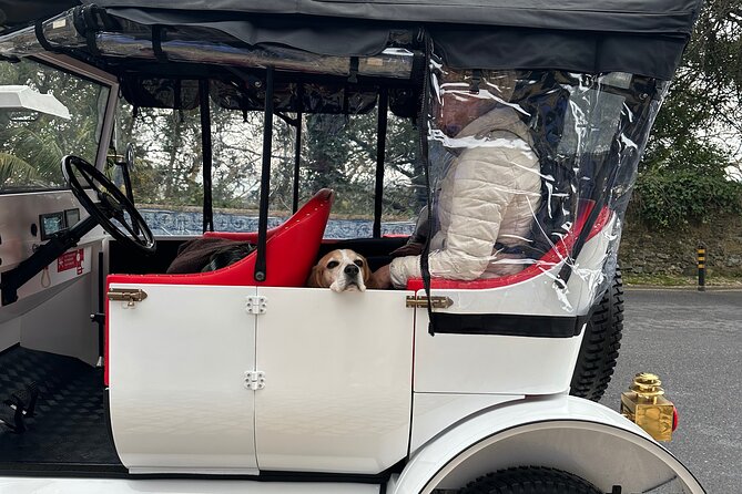 Sintra Tour by Electric Tuk Tuk - Colares coast add-on: Azenhas do Mar, Praia da Maças, Adraga, and Cabo da Roca
