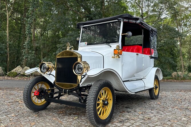 Sintra Tour by Electric Tuk Tuk - Who this private electric tour suits (and who should skip it)