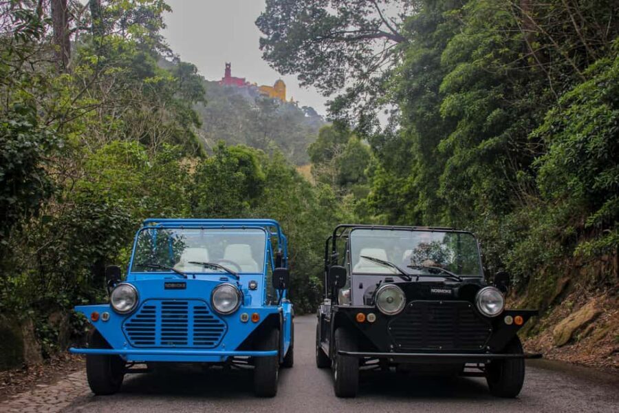 Sintra: Vintage electric Tuk Tuk tour, Pena Palace 4/5 hours - Food and ride comfort: sweet, water, and music
