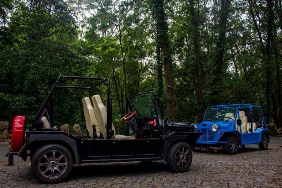 Sintra: Vintage electric Tuk Tuk tour, Pena Palace 4/5 hours - Vintage electric tuk tuk: comfort, flow, and the Sintra advantage