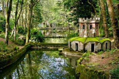Small Group FULL DAY PRIVATE TOUR Sintra + Cascais+Roca Cape - The viewpoint rhythm: Moorish Castle, National Palace, and Monserrate