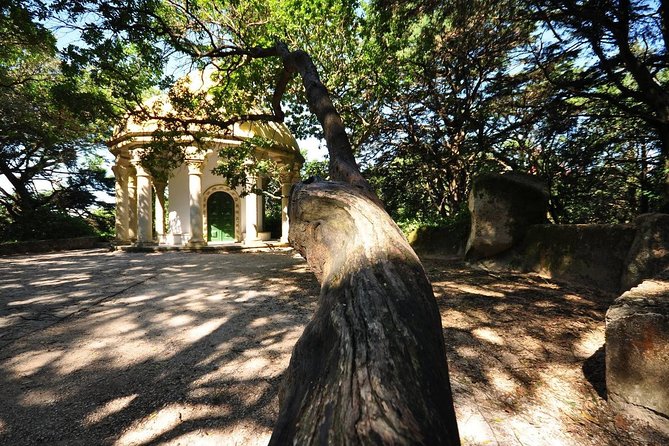 Small Group Tour to Pena Palace , Sintra , Regaleira and Cascais - Cascais: fisherman village energy plus a proper lunch break