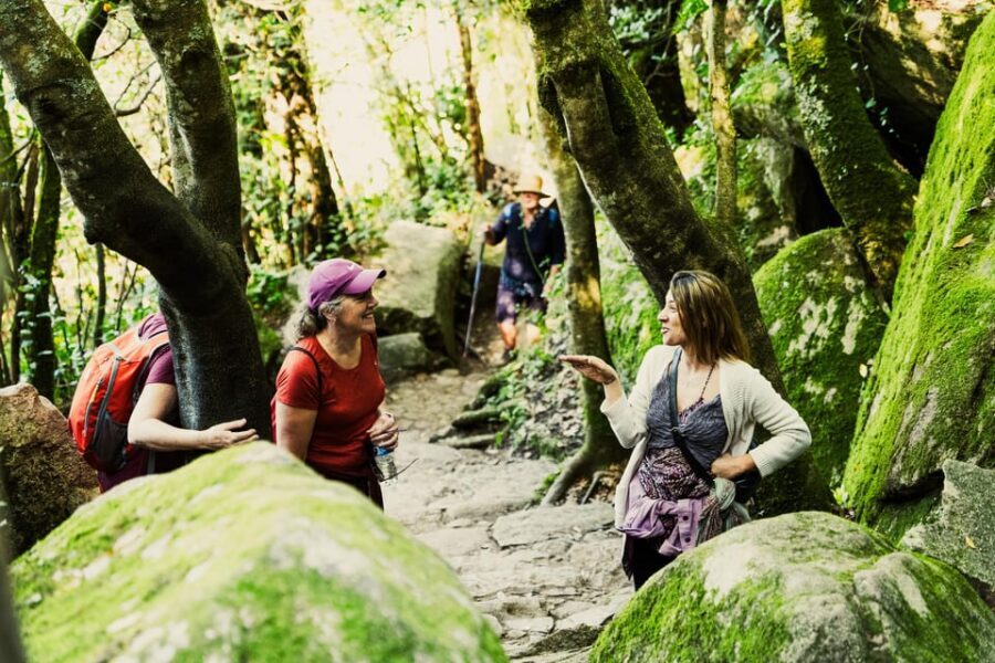 Walking tour:Pena Palace, Moorish Castle,Quinta da Regaleira - Moorish Castle: Portuguese-Arabic Heritage in Context