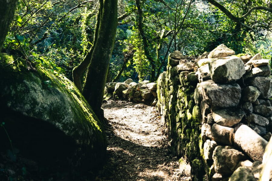 Walking tour:Pena Palace, Moorish Castle,Quinta da Regaleira - Pena Palace: Romantic Architecture That Explains Modern Sintra
