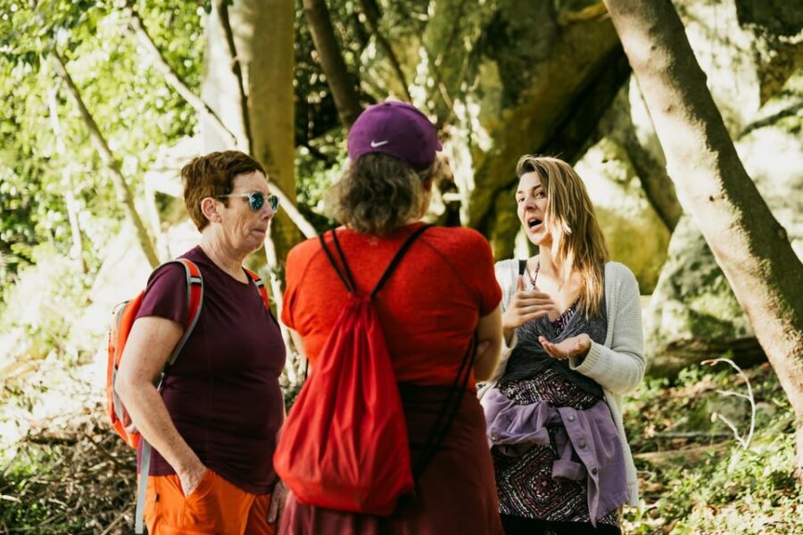 Walking tour:Pena Palace, Moorish Castle,Quinta da Regaleira - Start in Sintra’s Historical Center and Get Your Bearings Fast